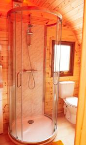 a shower in a wooden bathroom with a toilet at Bryn Glamping in Coychurch