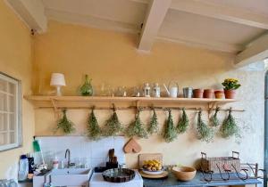 una cucina con un mucchio di piante sul muro di La Dimora di Corte a Lucca