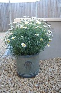 una olla de flores sentada en un montón de rocas en Round The Bend, an annexe in the quiet village of Odcombe en Montacute