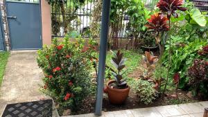 Aed väljaspool majutusasutust Model House Sto Tomas, Batangas