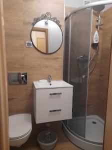 a bathroom with a toilet and a sink and a mirror at Good Morning Podzamcze in Wałbrzych