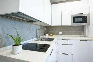 Kuchyňa alebo kuchynka v ubytovaní Apartamentos Ribera 19