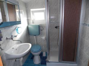 a bathroom with a toilet and a sink and a shower at Apartments Miro Kornić in Kornić +37 photos