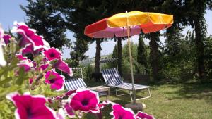 Zahrada ubytování Il Parco