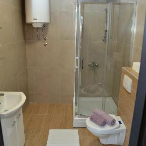 een badkamer met een douche, een toilet en een wastafel bij Stan na dan Raška in Raška