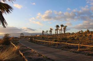 una strada sterrata con palme in lontananza di Toyo Golf a Almería