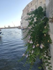 Gallery image of Kasamare- Monopoli in Monopoli