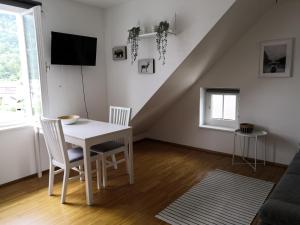 TV a/nebo společenská místnost v ubytování Traun(m)seewohnung
