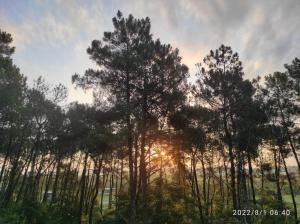 Příroda nedaleko hotelu + 5 fotografií