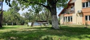 a tree with a swing in front of a building at Secret Garden Camping in Bontida
