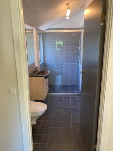 a bathroom with a toilet and a sink at Pilegården Ferieboliger in Læsø