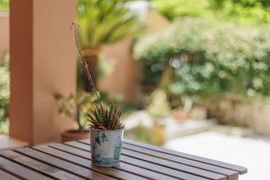 Vonkajšia záhrada v ubytovaní Aloe Apartments