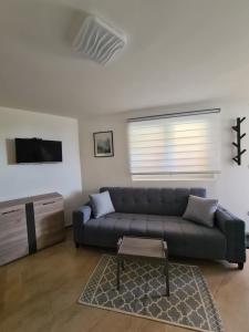 a living room with a couch and a tv at Studio MM Kopaonik in Kopaonik