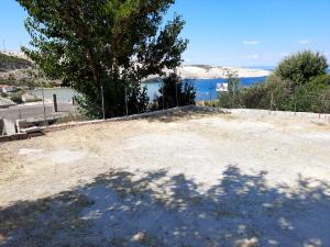 a shadow of a tree on the ground at Apartmani Ana-Lora in Lopar