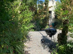 una parrilla en medio de un jardín en Maison dans sa Jungle, aux milliers d’espèces… en Montmagny