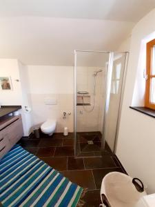a bathroom with a shower and a toilet at FEWO Niederndorferberg in Niederndorferberg