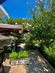 un patio con alcune piante e un albero di Riverside Apartments Chiara a Ulcinj