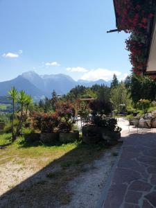 a view of a garden with mountains in the background at Ferienwohnungen Sägfeiler in Bischofswiesen