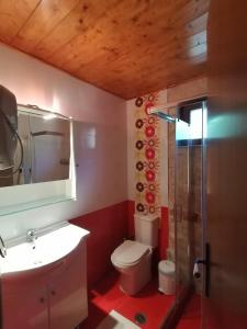 een badkamer met een toilet, een wastafel en een douche bij Stonehouse dome Lagadia in Lagadia