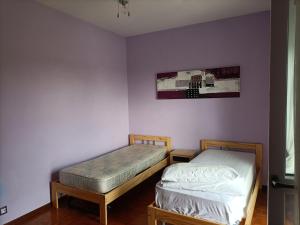 2 Einzelbetten in einem Zimmer mit lila Wänden in der Unterkunft TORRE PELLICE Camera In Bilocale con bagno in comune in Torre Pellice