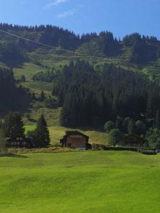 a green field with houses on a hill with trees at Ferienwohnung Zunzer in Mittelberg