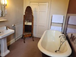 La salle de bains est pourvue d'un lavabo et d'une baignoire. dans l'établissement The Old Vicarage, à Kington