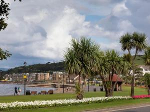 a park with palm trees and a body of water at Spacious stylish centraly located flat near beach in Largs