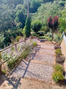 ogród z kamienną ścieżką i roślinami w obiekcie Rustico w mieście Bagnoregio