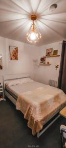 um quarto com uma cama e um tecto em Superbe studio en plein centre ville de Rennes em Rennes