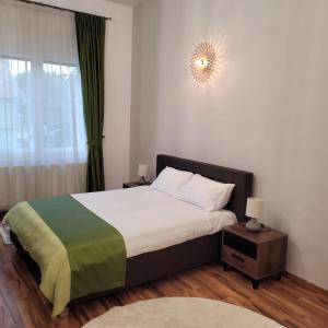 Ліжко або ліжка в номері B8 - Spacious, Charming Apartment in Central Sibiu