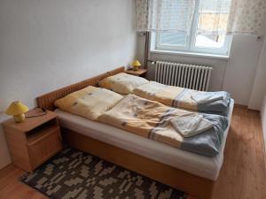 a bedroom with two beds and a window at Apartmán u Anny in Štrba