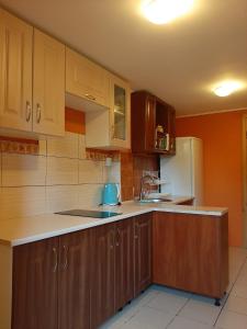 een keuken met houten kasten en een witte koelkast bij Yalivets in Oryavchyk