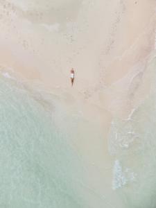 Foto sihtkohas Thinadhoo asuva majutusasutuse Ecoboo Maldives galeriist