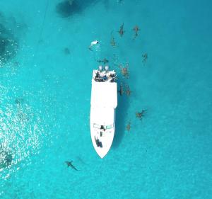 Thinadhoo的住宿－Ecoboo Maldives，一群人坐在船上