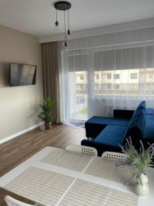 TV a/nebo společenská místnost v ubytování Apartamenty Termalne na Długiej 8
