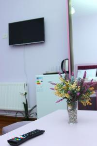 TV a/nebo společenská místnost v ubytování DARBAS GUEST HOUSE