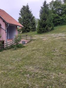 Zahrada ubytování Studio apartman jelena
