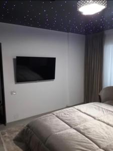 a bedroom with a bed and a flat screen tv on the wall at Garsoniera lux centru pietonal Tîrgu - Jiu in Târgu Jiu