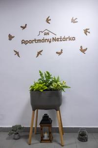 Fotografija v galeriji nastanitve Apartmány Nežárka a privátní wellness v mestu Jindrichuv Hradec