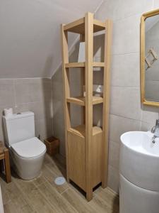 uma casa de banho com um WC e um lavatório em Apartamentos Garam em Granada