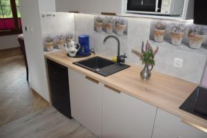 Kuchyňa alebo kuchynka v ubytovaní Ferienwohnung Avila , Stadtmitte Karpacz