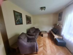 ein Wohnzimmer mit einem Sofa und einem TV in der Unterkunft Apartmani Minjević in Bijelo Polje