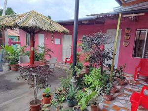 a pink house with a table and chairs and plants at Guest House Nena in Moyogalpa +11 photos