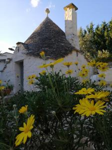 una vecchia casa con fiori gialli di fronte di Trulli Villa Gloria ad Alberobello