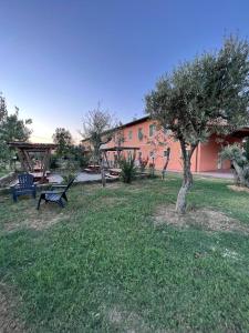 um parque com um banco e uma árvore num quintal em Agriturismo Santo Regolo - relax toscano ✺✺✺ em Torretta