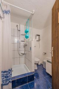 ein Bad mit einer Dusche und einem WC in der Unterkunft Casa Tavernela in Vicosoprano