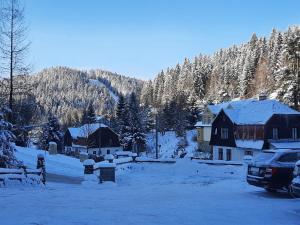Mynd úr myndasafni af HAMR Apartmány í Nové Hamry