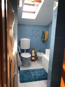 a bathroom with a toilet and a sink and a skylight at Casa di Luca in Viareggio