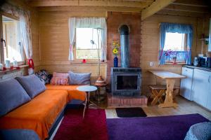 a living room with a couch and a fireplace at Magia Krutyni in Krutyń