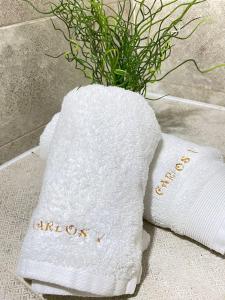 a white towel with a plant in a vase at Apartments Carlos V in Benidorm